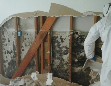 schimmelsanierung firma wien linz salzburg graz bern zürich münchen regensburg stuttgart mannheim iso airo slowakei